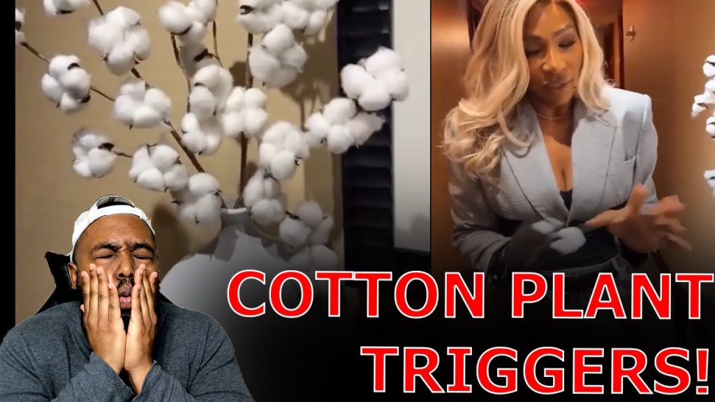 Serena Williams TRIGGERED After Finding Cotton Plant In New York City Hotel Serena Williams TRIGGERED After Finding Cotton Plant In New York City Hotel