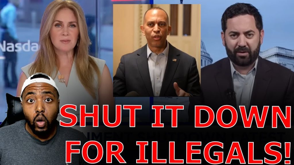 Republican SCHOOLS CNBC Anchor On Democrats Shutting Down Government To Give Healthcare To Illegals!