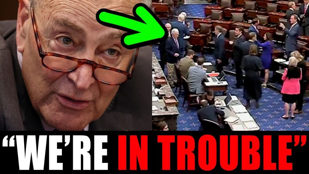 Dems in REVOLT as shutdown continues to devastate the PARTY!!!