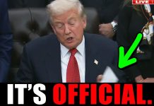 He waited for the perfect moment.