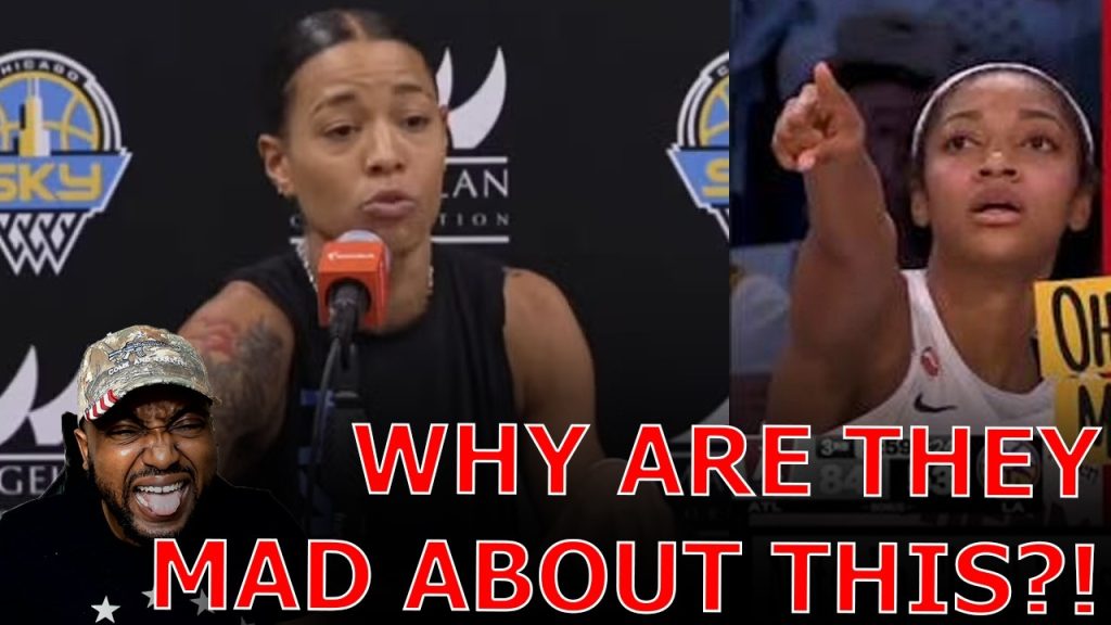 Black Lesbian WNBA Player MELTS DOWN Over Male Fan Throwing Green ‘Toys’ On Court During Game!