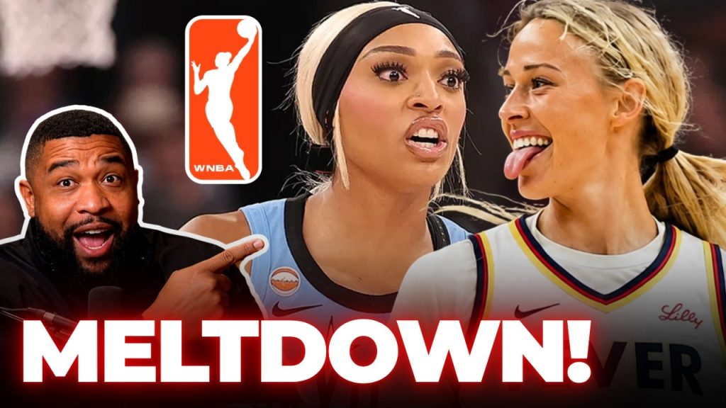 WNBA Executives PANIC After WOKE Players ATTACK Their TOP  White STARS